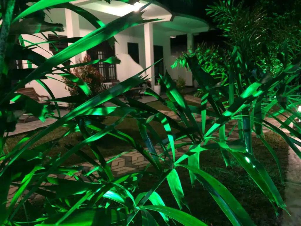 Skyresort 坦加拉 外观 照片
